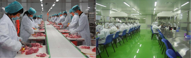 企業名錄食品公司,食品應用臭氧發生器